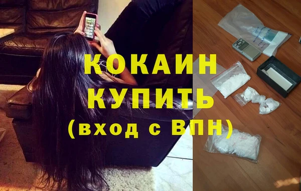 стафф Алексин