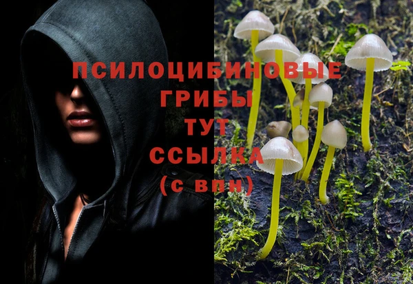 Альфа ПВП Абдулино