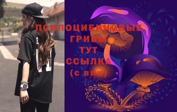 apvp Алзамай