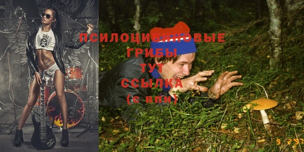 a pvp Абинск